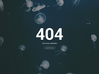 404 Error Page 404 clean design error fish jellyfish page underwater web