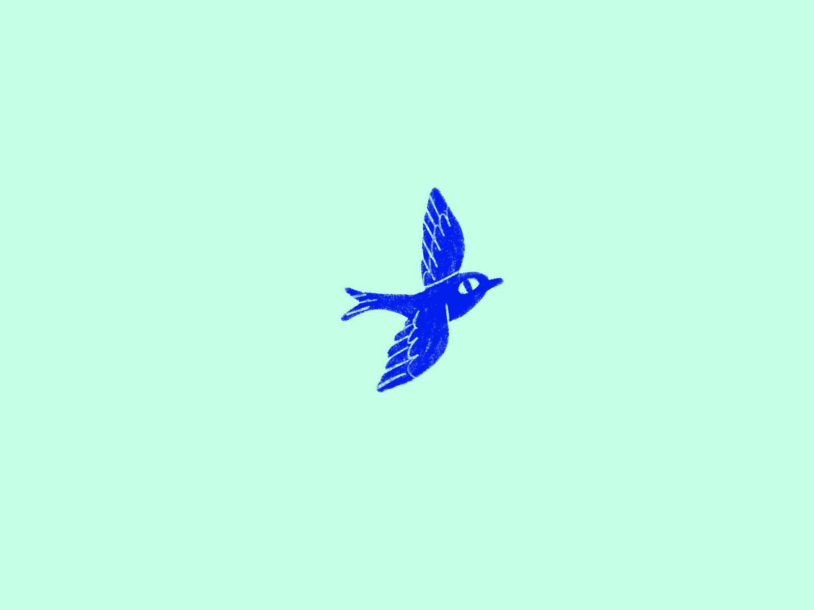 Blue Bird by Andrealocel. on Dribbble