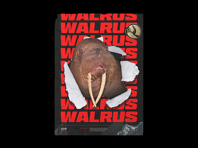 Walrus Poster - Our Planet brutalist netflix planet poster poster art typogaphy walrus