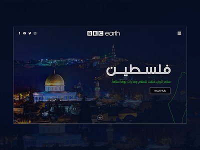 Palestine Website Header agency app design development interface tempelate ui ux user ux web