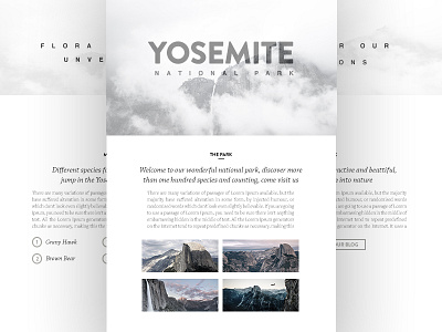 Yosemite National Park Website Concept clean minimal user interface web design