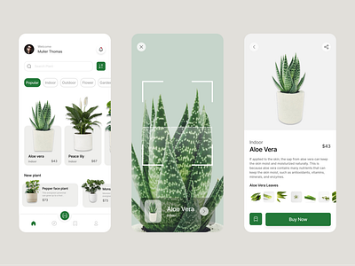 Exploration - Plant Shop App design mobile plantapp ui ux