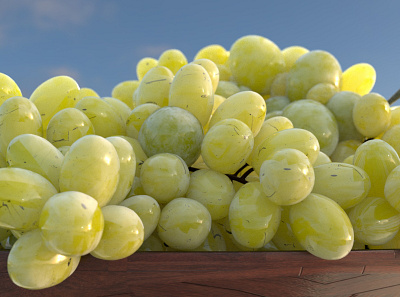 Grapes arnold render
