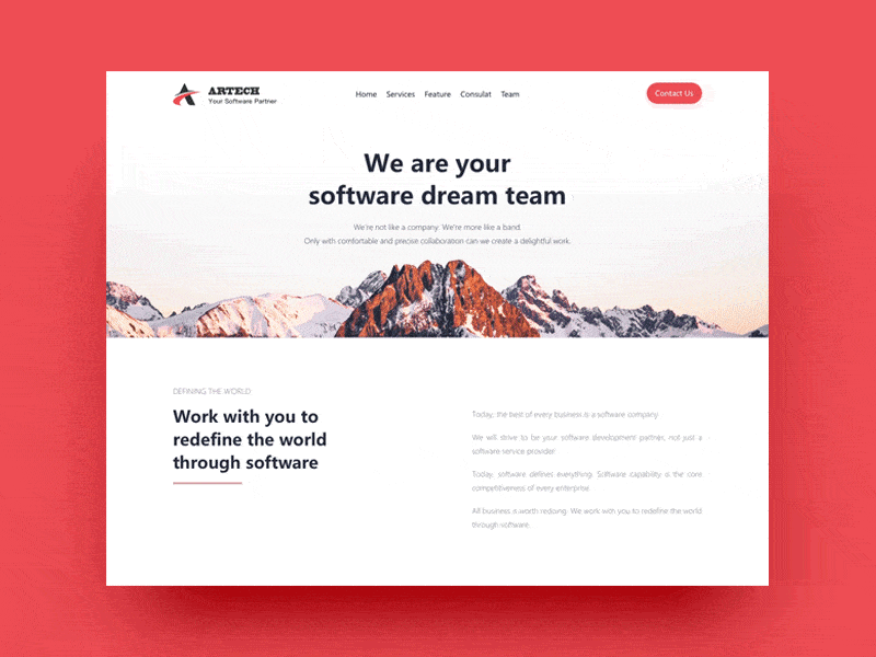 SoftWare Company Website