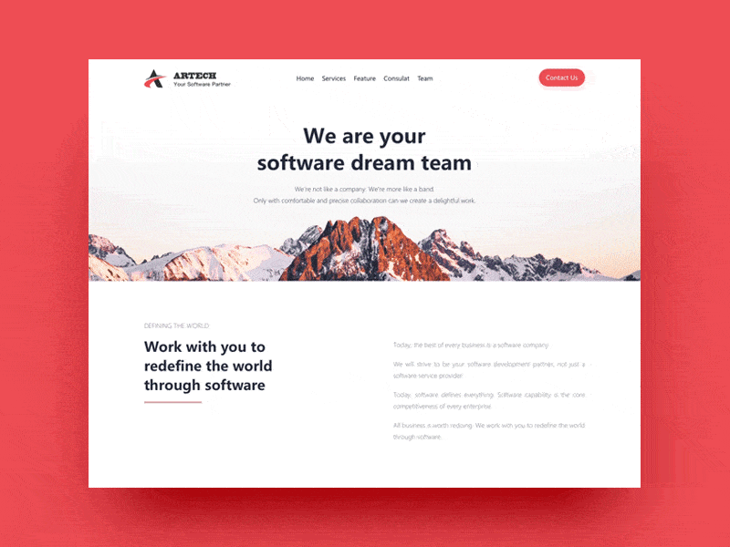SoftWare Company Website company homepage design principle red web website