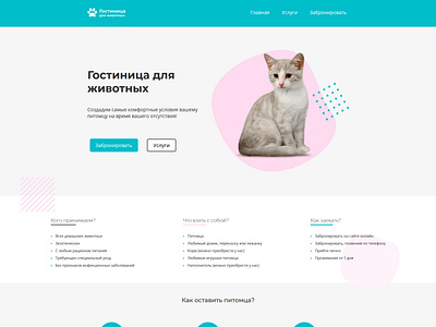 Web-design, HTML template Animal Hotels design graphic design html html template web design