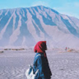 nanda