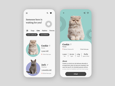 Animal adoption mobile app