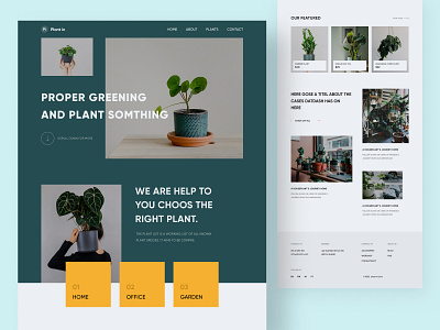 Interior Plants - Landing Page