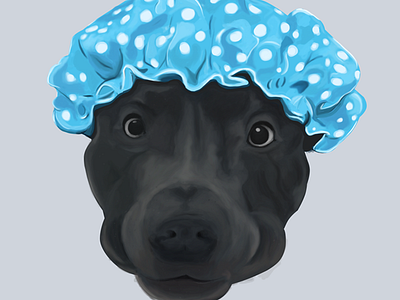 Shower time cute dog funny hat illustration intuos pet photoshop puppy viral wacom