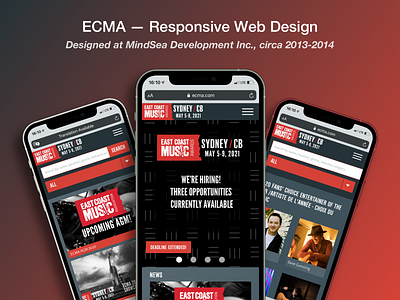 ECMA — Web Design (Responsive Mobile) ios mobile responsive safari webdesign website