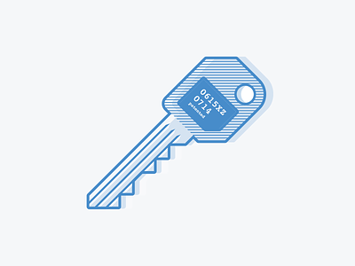 Flat Key access code flat icon illustration key romania vector