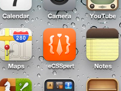 eCSSpert iOS icon