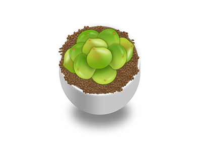 Succulent plants icon object virtual