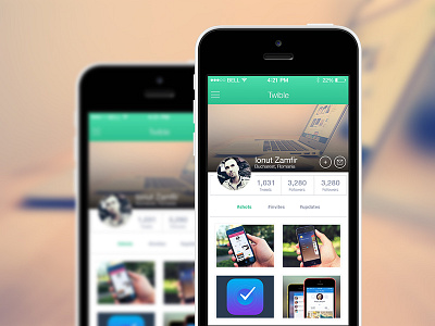 Twible App / User Profile dribbble ios mobile twible twitter ui ux