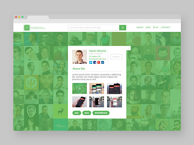 Inner Profile Page directory freelancer showcase ui usability user interface website design