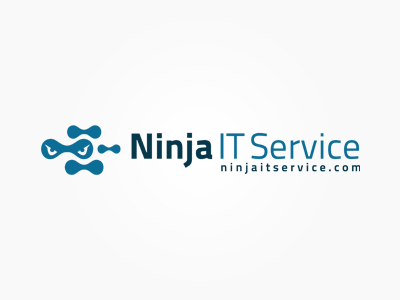 Ninja IT Service computre consulting it network ninja server service technical web development