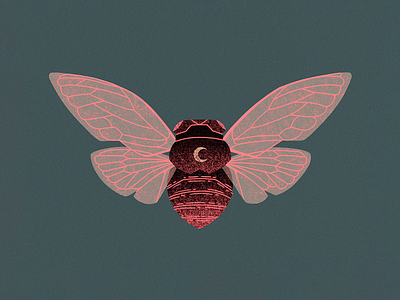 Cicada Spirit //