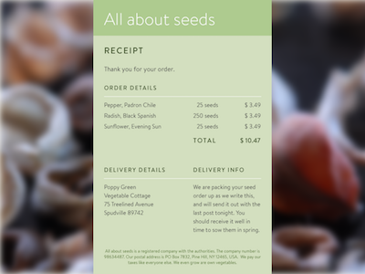 017 Email Receipt brandon text 017 dailyui