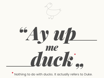 Ay Up Me Duck