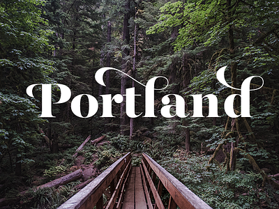 Portland portland type