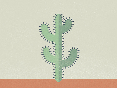 Cactus cactus illustration texture