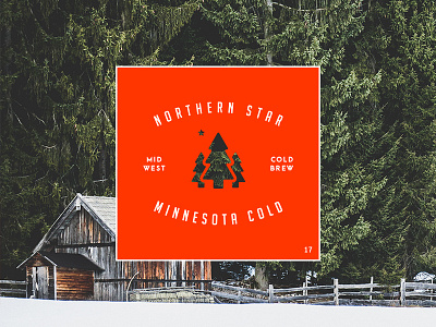 Northern Star Cold Brew Coffee coffee cold cold brew lockup logo midwest minnesota north woods