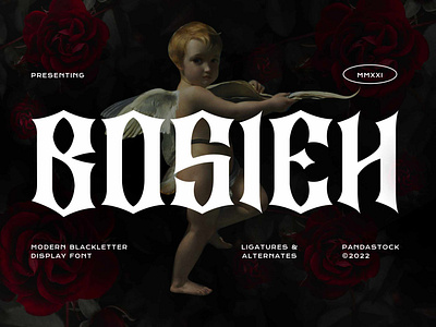 Bosieh Blackletter Font