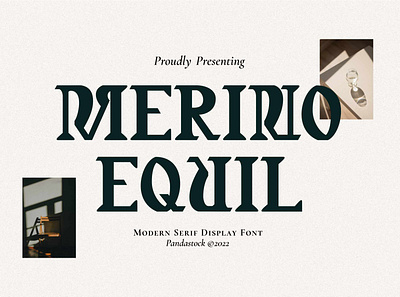 Merino Equil Classic Serif Font art noveau classic decorative funky groovy hippy hipster modern psychedelic retro style unique