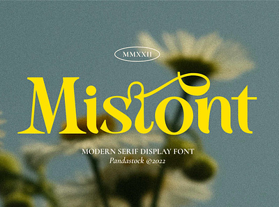 Mistont Beautiful Serif Font aesthetic beautiful branding classy elegant fancy fashion feminine font style letter logo luxury pretty script stylish font type typeface typography vintage wedding