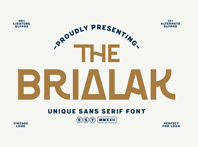 Brialak Modern Sans Serif Font beautiful bohemian boho bold branding cartoon classic classy condensed font fun logo luxury mid century nature rounded typeface typography unique vintage