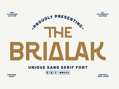 Brialak Modern Sans Serif Font