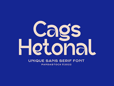 Cags Hetonal Beautiful Serif Fonts