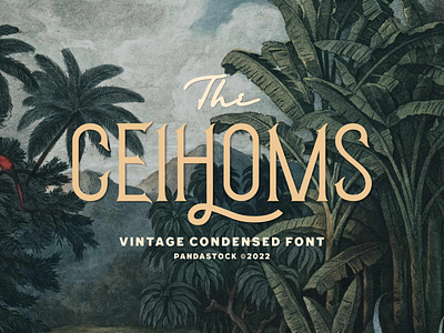 Ceihoms Condensed Font art beautiful beauty branding classic craft cursive decoration feminine heritage lettering logo luxury modern old slab swash type typeface vintage