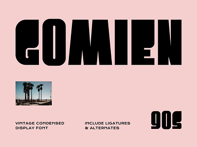 Gomien Vintage Display Font