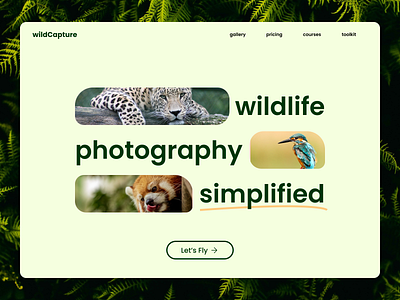 Wildlife Photography Website branding design figma modern ui ux website
