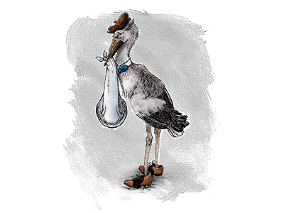 Stork baby bird illustration ink stork watercolor