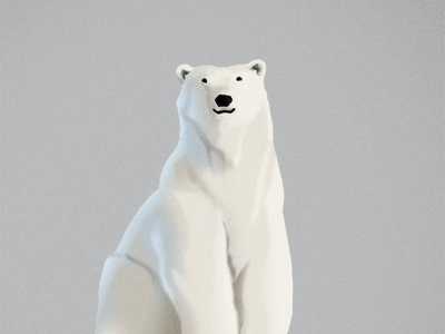 Polar bear bear gray grey polar snow