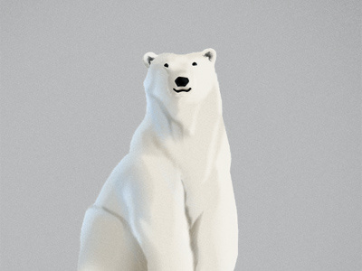 Polar bear