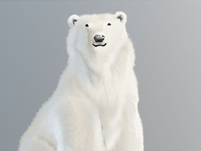 Polar bear #2