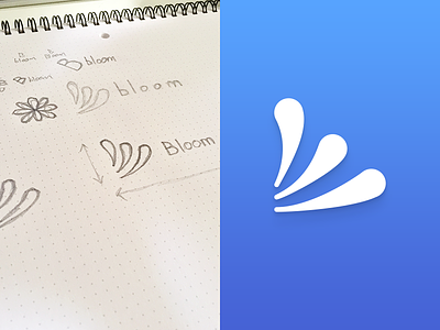 Bloom - Logo design process