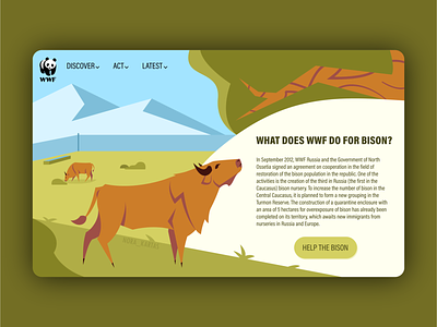 BISON | Landing page