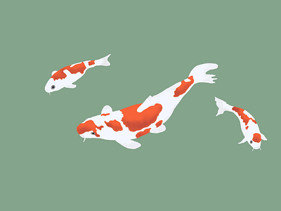 Koi procreate illustration