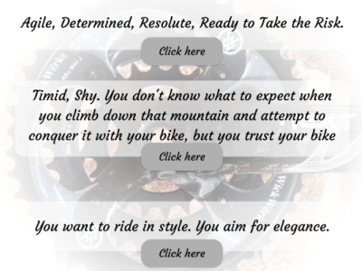 Roar Bikes - scroll down - Web Design adobe xd design ui design ux design web design