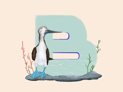 Booby - 36 Days of Type