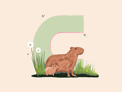 Capybara - 36 Days of Type 36daysoftype animals artwork capybara cute design illustration italy logo photoshop sketch travel typography vector visual
