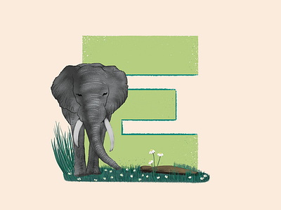 Elephant - 36 Days of Type 36daysoftype africa animals asia cute design e elephant giant illustration photoshop travel visual wacom