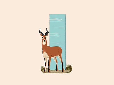 Impala - 36 Days of Type 36daysoftype africa animal antelope design grassland horns illustration impala italy safari savannah south typogaphy visual