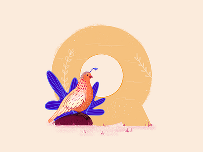 Quail - 36 Days of Type 36daysoftype animals birb birds cosmic cute design forest golden illustration nature q quail travel trees visual