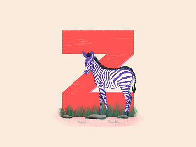 Zebra - 36 Days of Type 36daysoftype africa animals colors cute design illustration purple safari savannah travel typography visual zebra